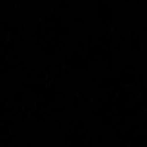 Meet your Posher, Ella